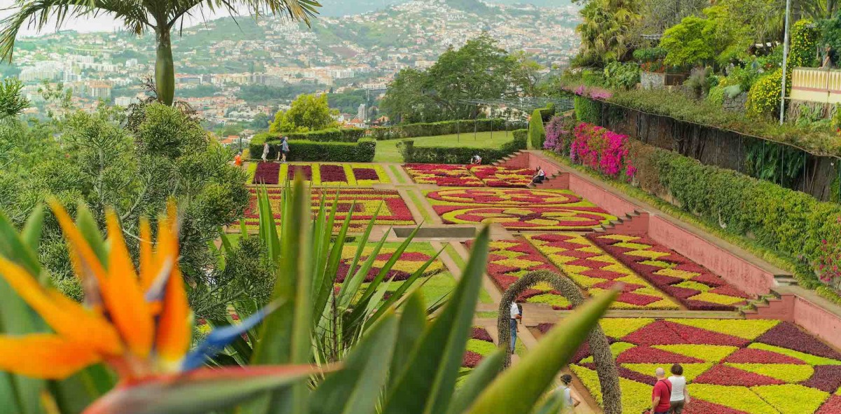 jardín botánico