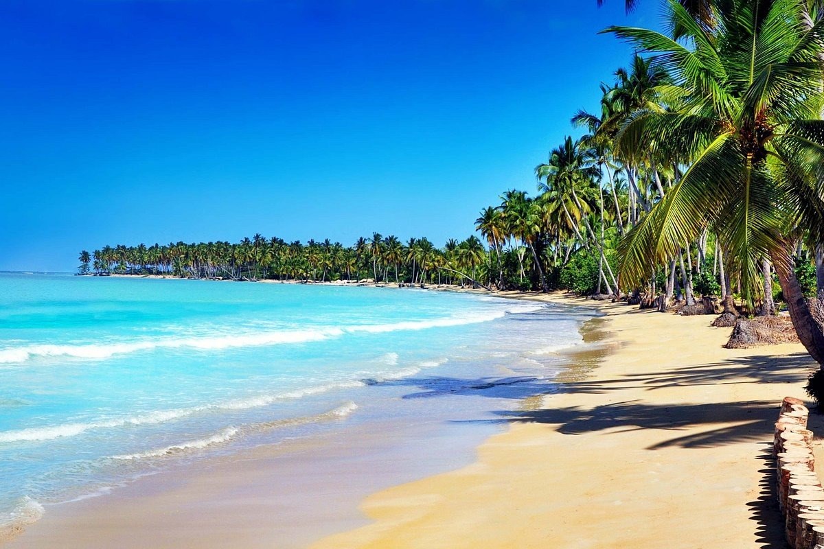 Playa paradisiaca llena de Palmeras en un agua cristalina