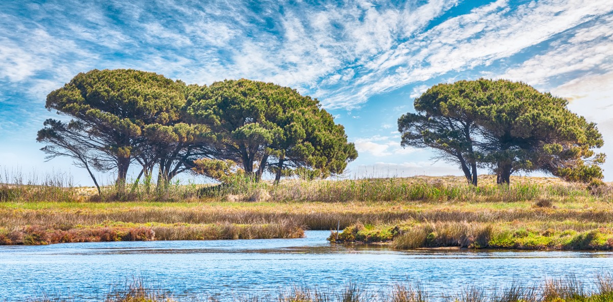 Aventura en el Algarve y Andalucia