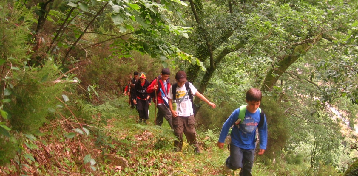 Niños bosque