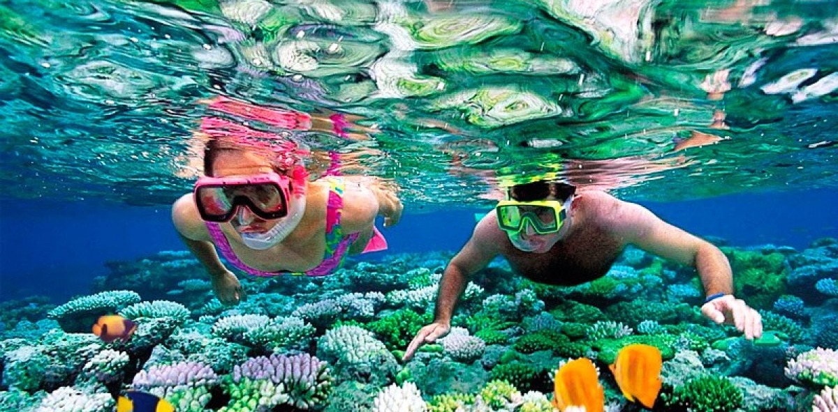Puente Diciembre Riviera Maya Singles 