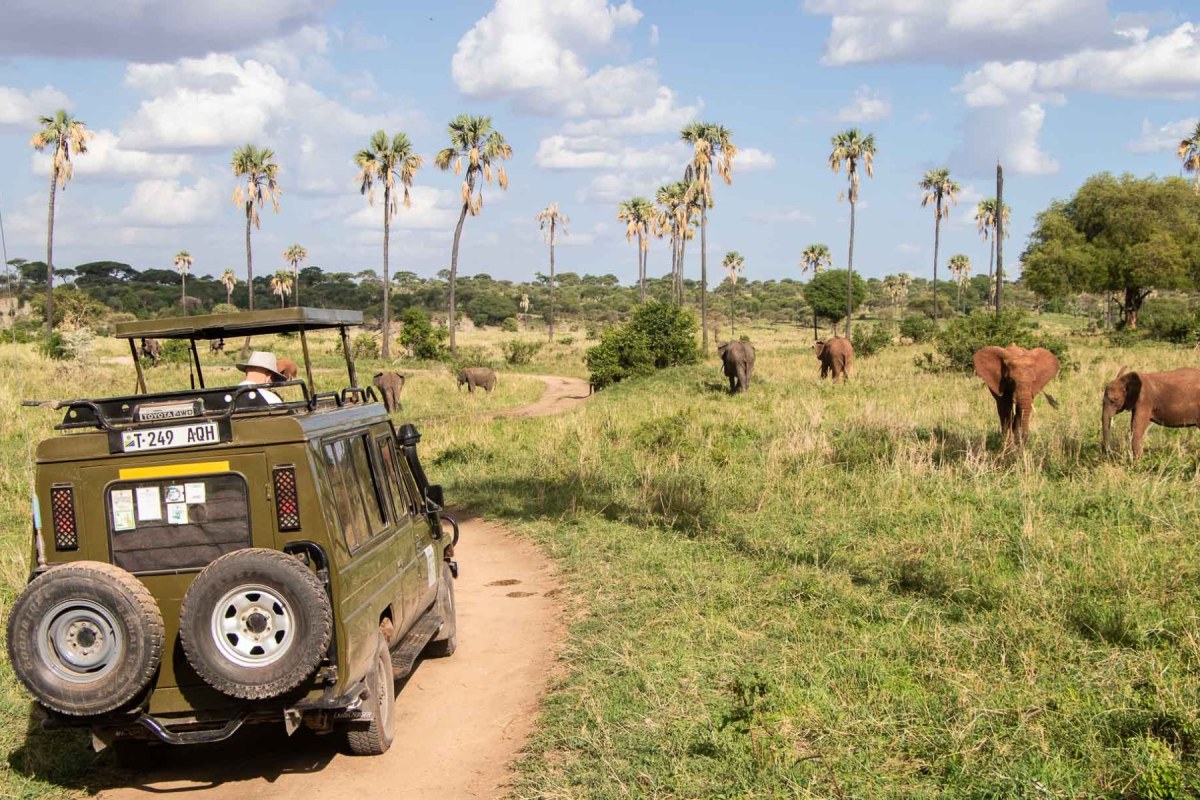 Tanzania"el sueño de África" con Singles