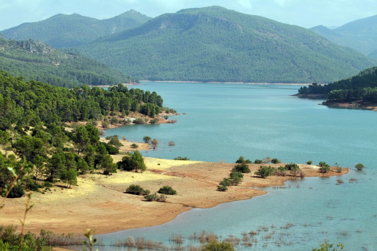Cazorla