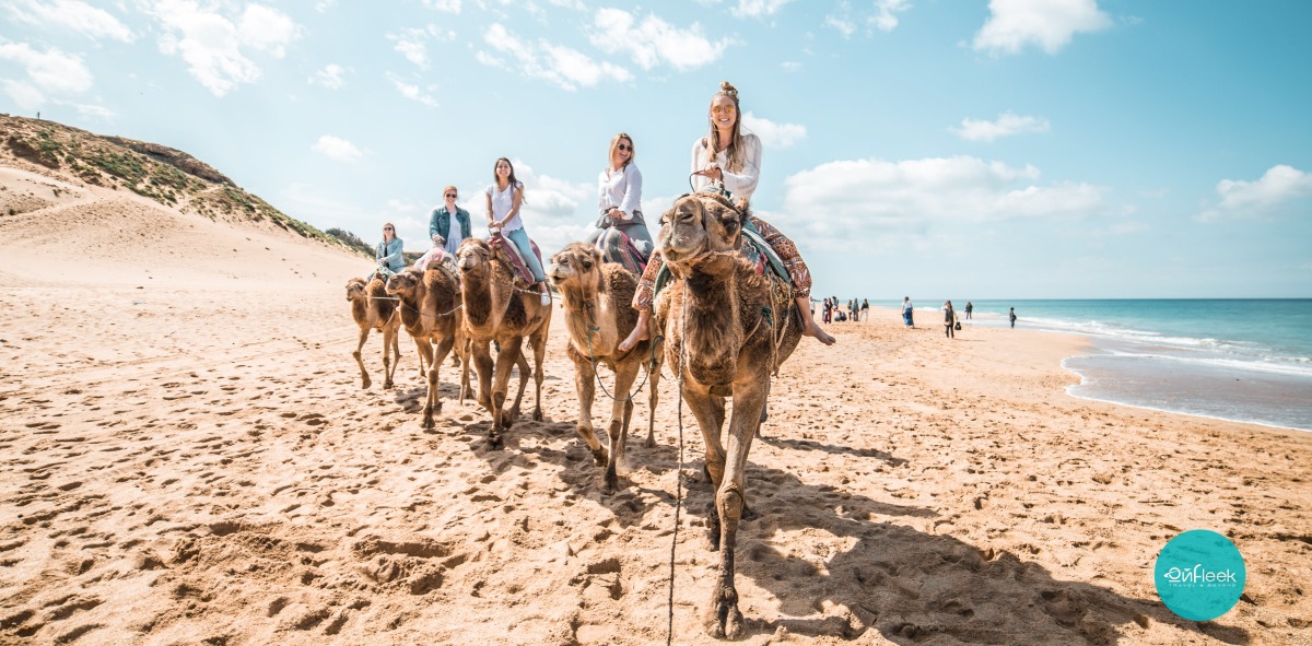 Solteros Viajeros en una ruta en camello por la playa