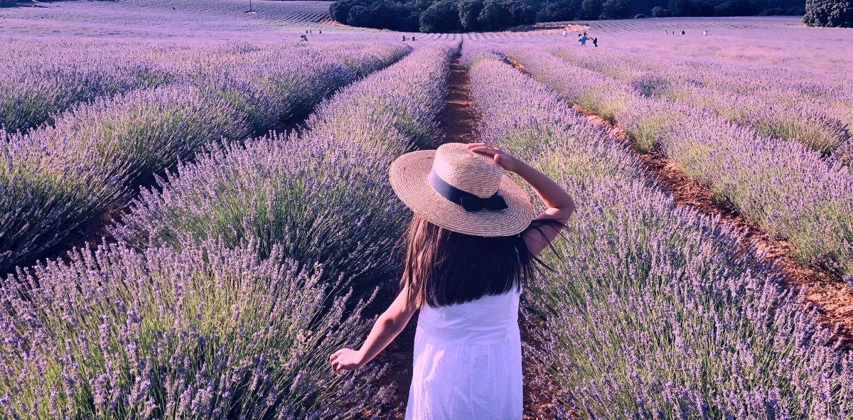 Escapada Single a la Provenza Francesa