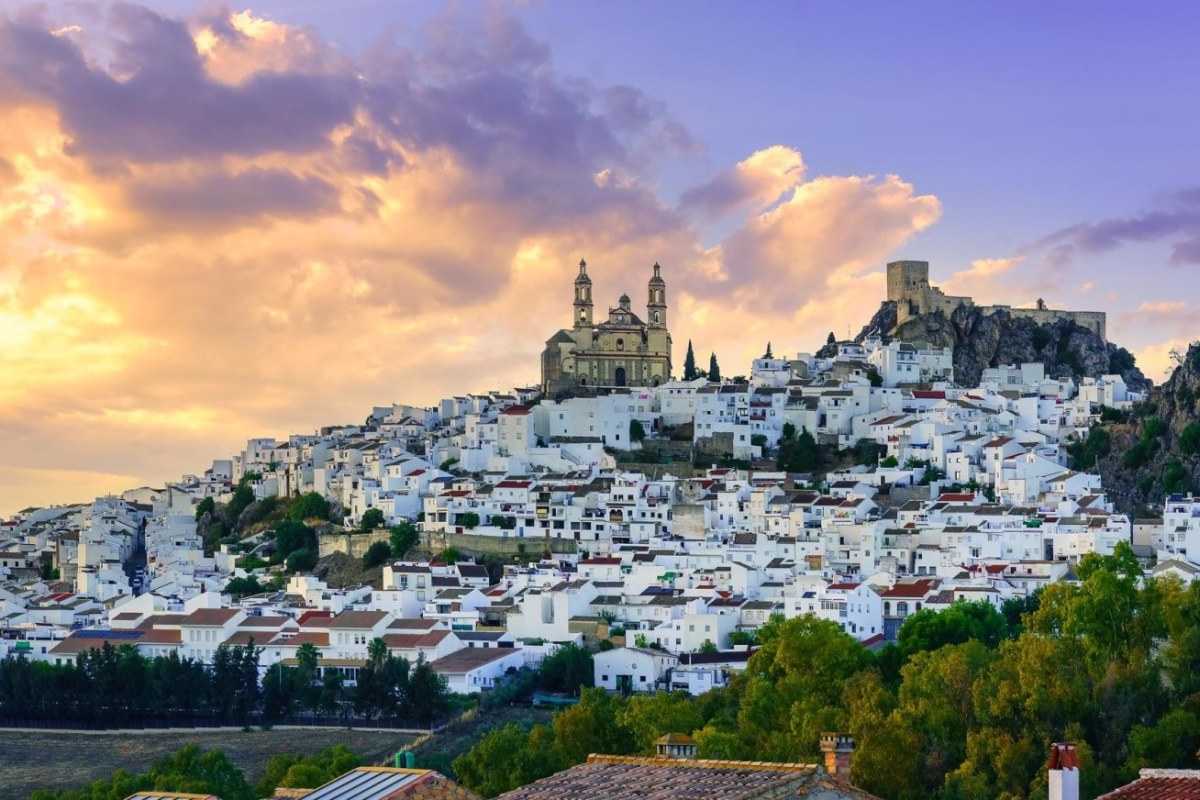 Olvera