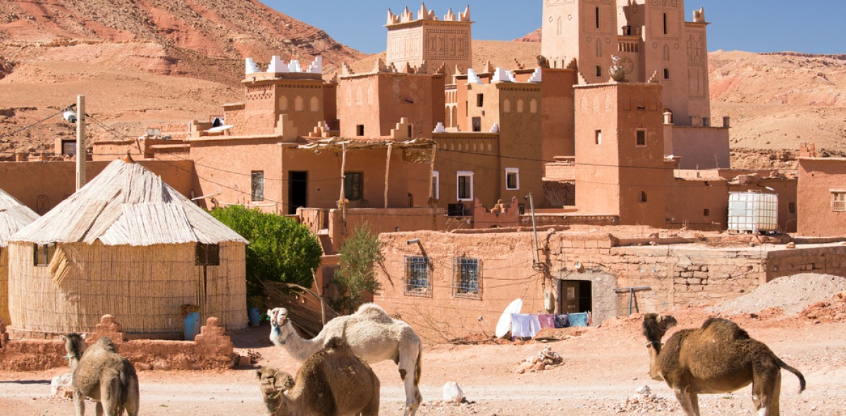 Solteros de Fin de Año en Marruecos