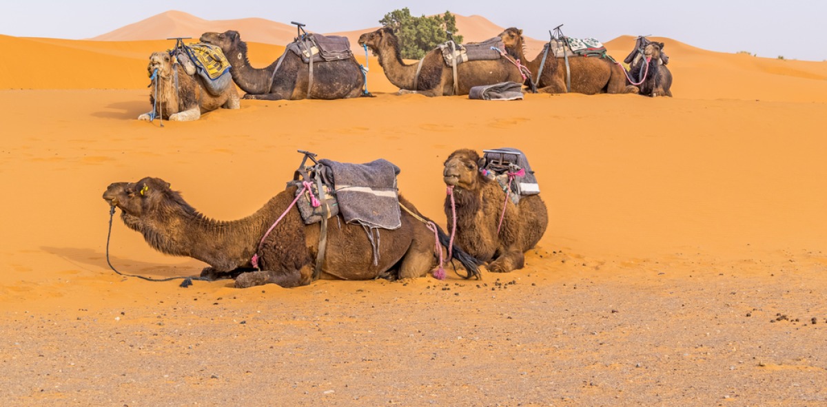 Marruecos