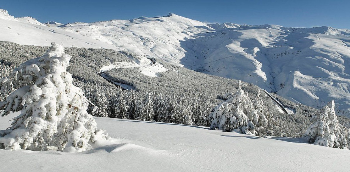 sierra nevada