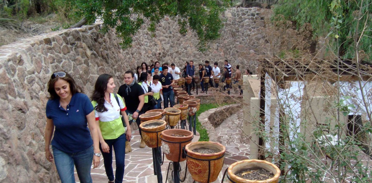 Grupo de Solteros viajeros en fila subiendo una rampa con jarrones a los lados