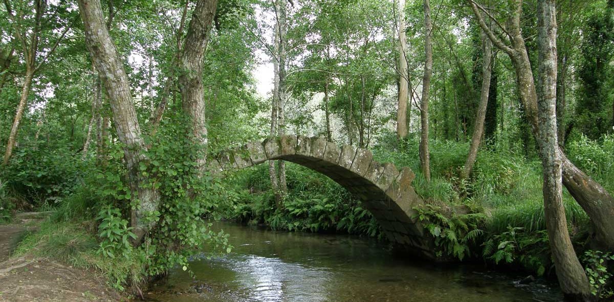Galicia
