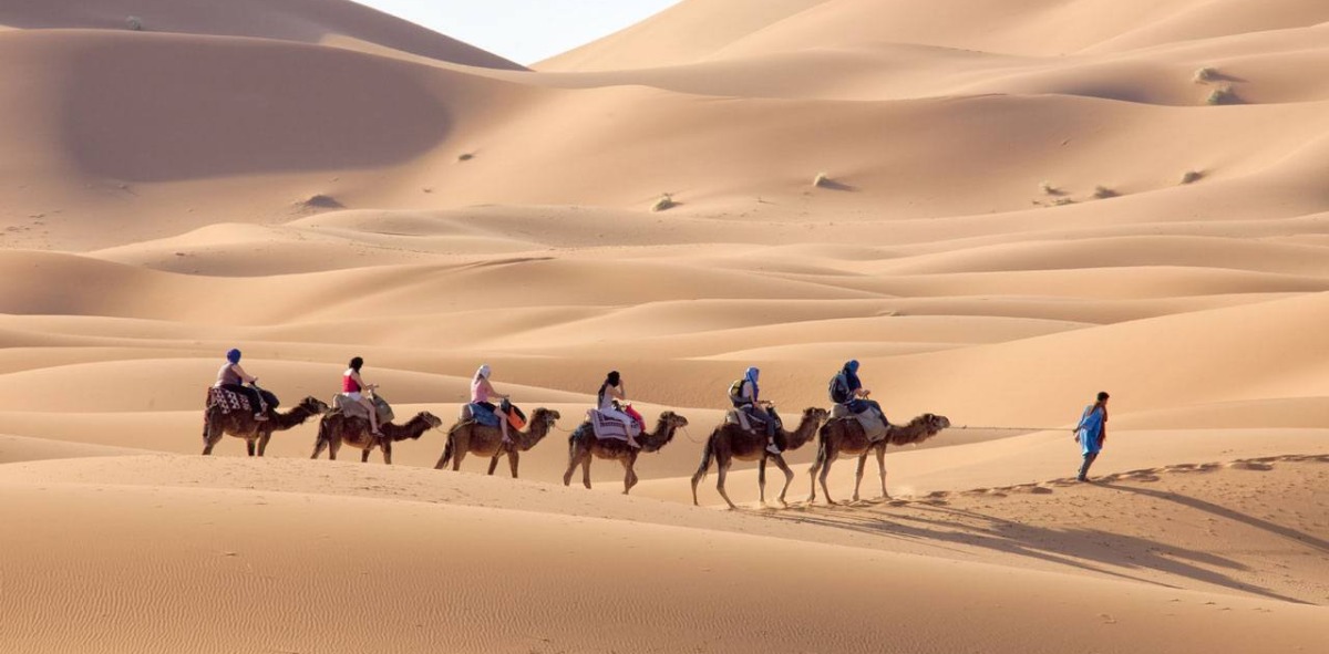 Camellos en fila montados por el grupo de Solteros Viajeros guiados por un hombre