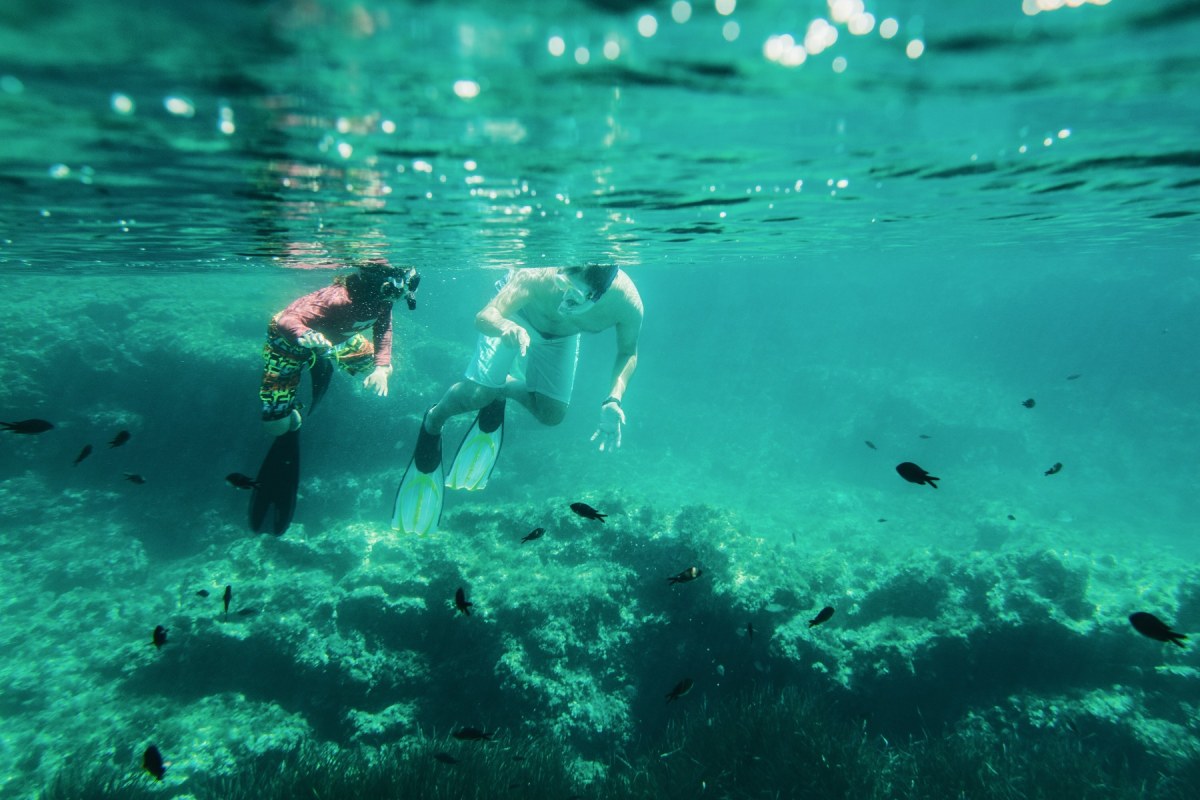 snorkel en sharm el sheikh