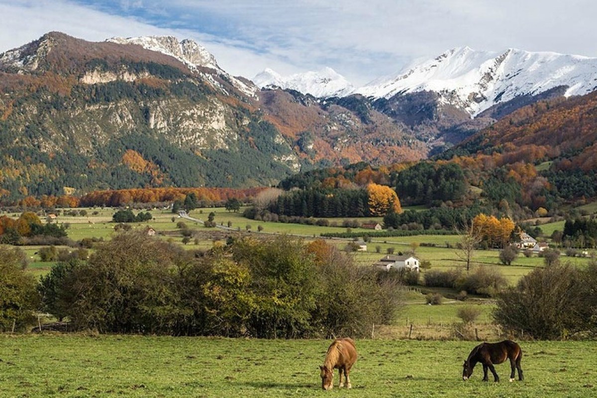Pirineo Navarro