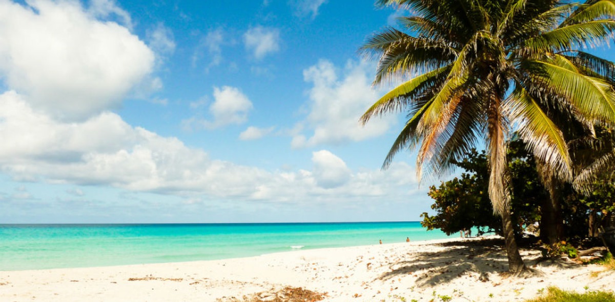 Caribe