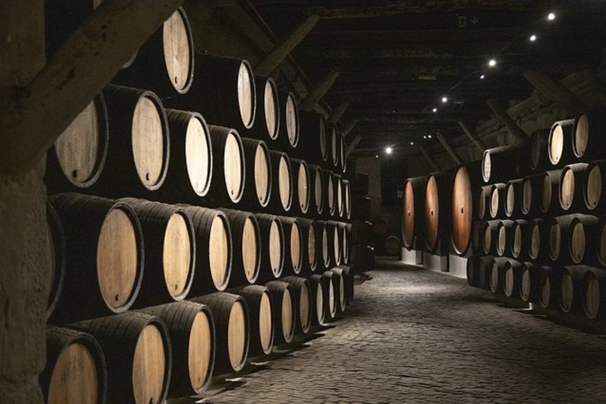 Bodega llena de barriles de Oporto