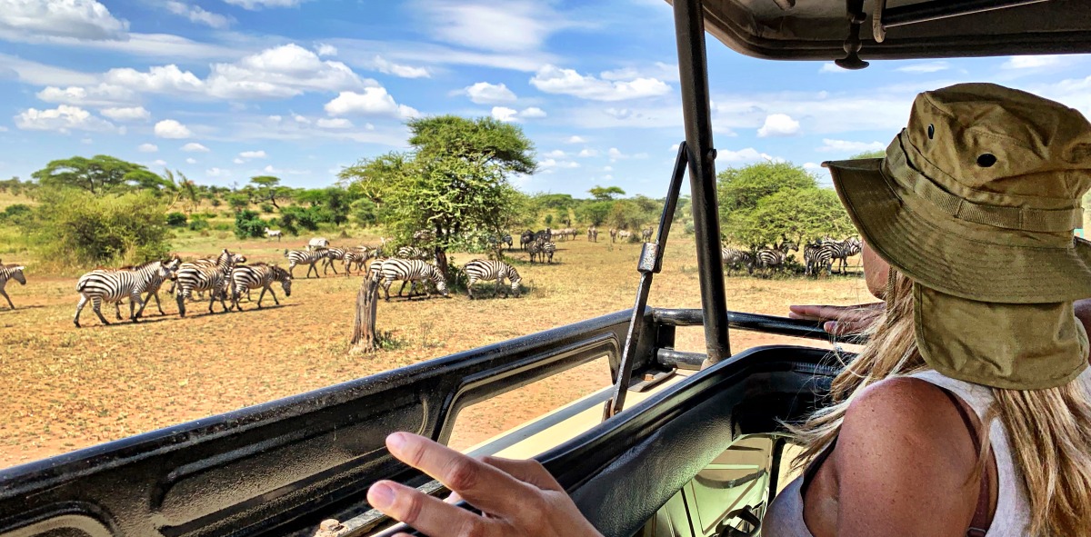 safari