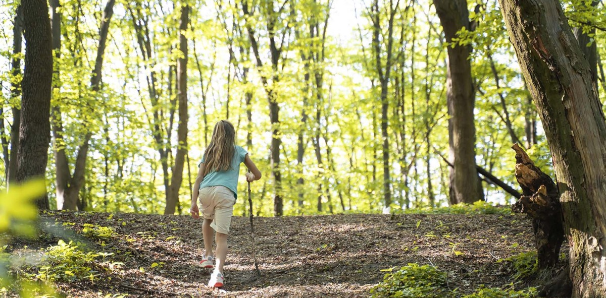 Juegos en el bosque