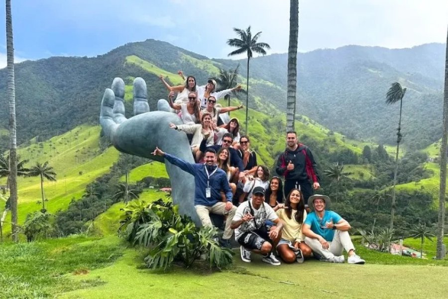 Palmeras