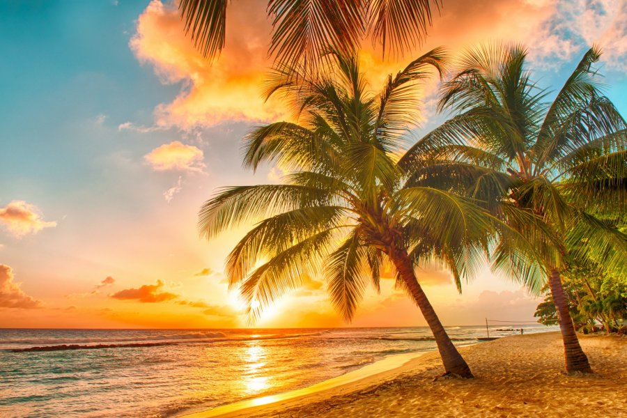Caribe para singles