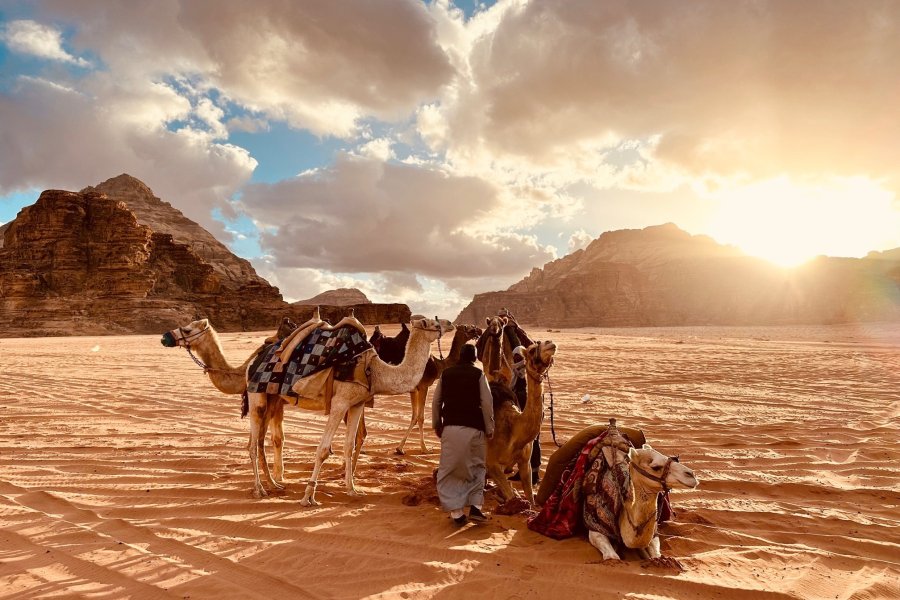 Solteros a Jordania