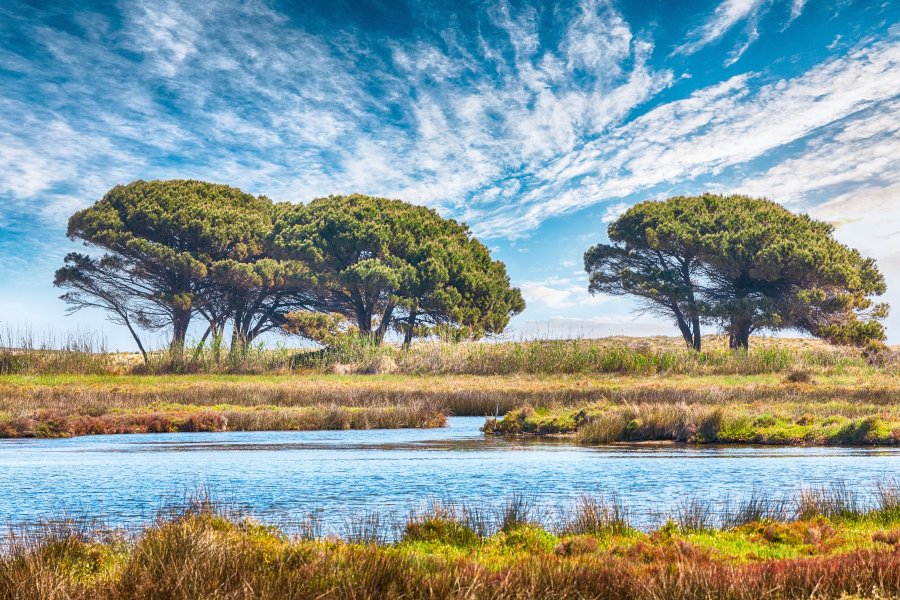 Aventura en el Algarve y Andalucia