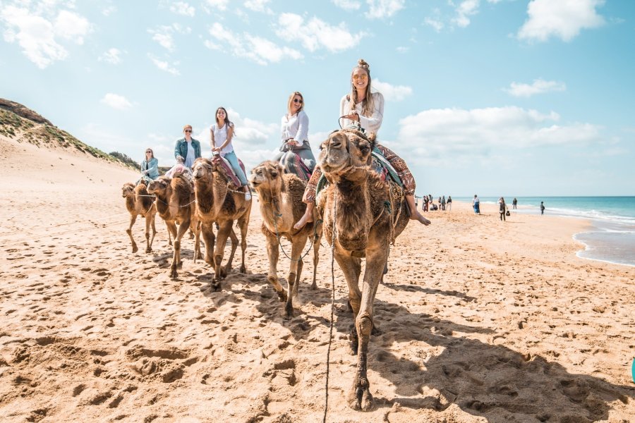 Solteros Viajeros en una ruta en camello por la playa
