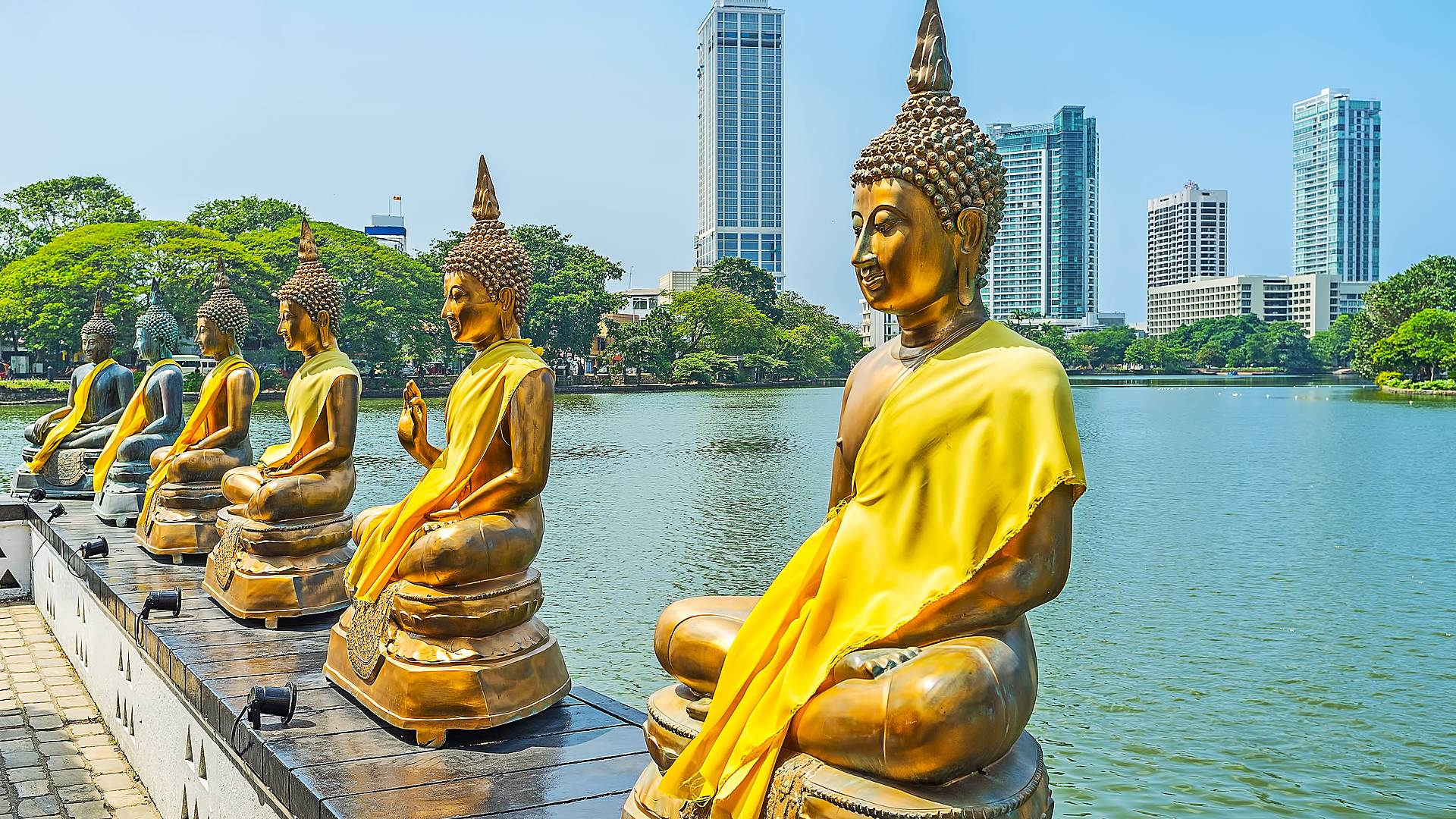 Estatuas de budas doradas en un lago, al fondo los rascacielos de la ciudad