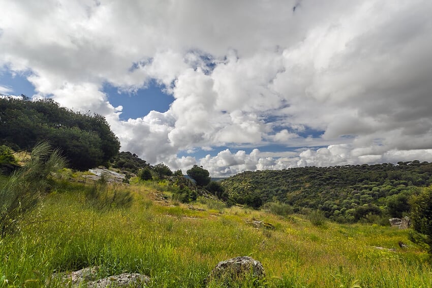 Paisaje típico hoyanco, donde se aprecian montes de pinos