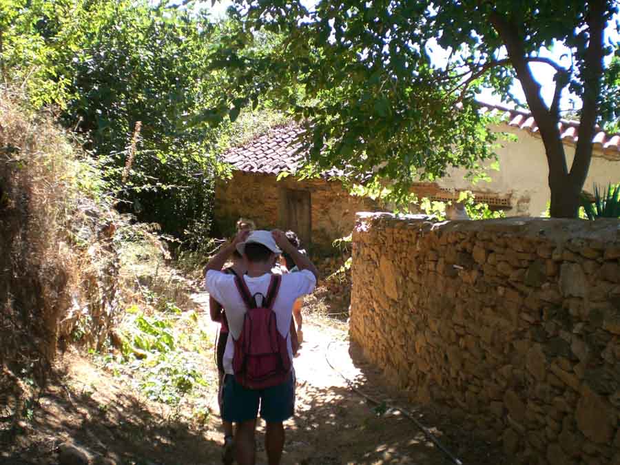 bajando por un camino gente en fila india de espaldas por un camino y a los lados muros de piedra