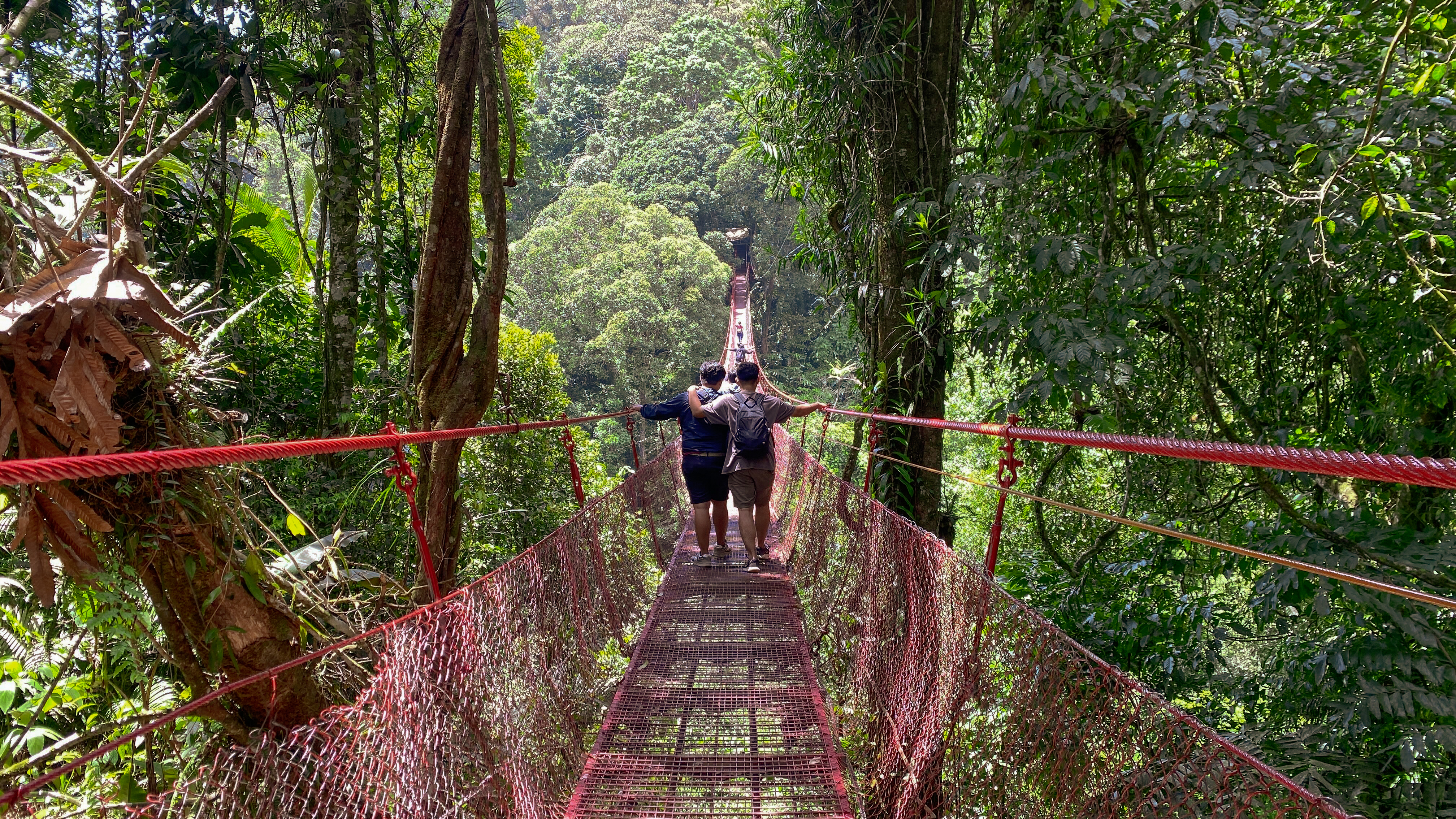 puente colgante parque nacional