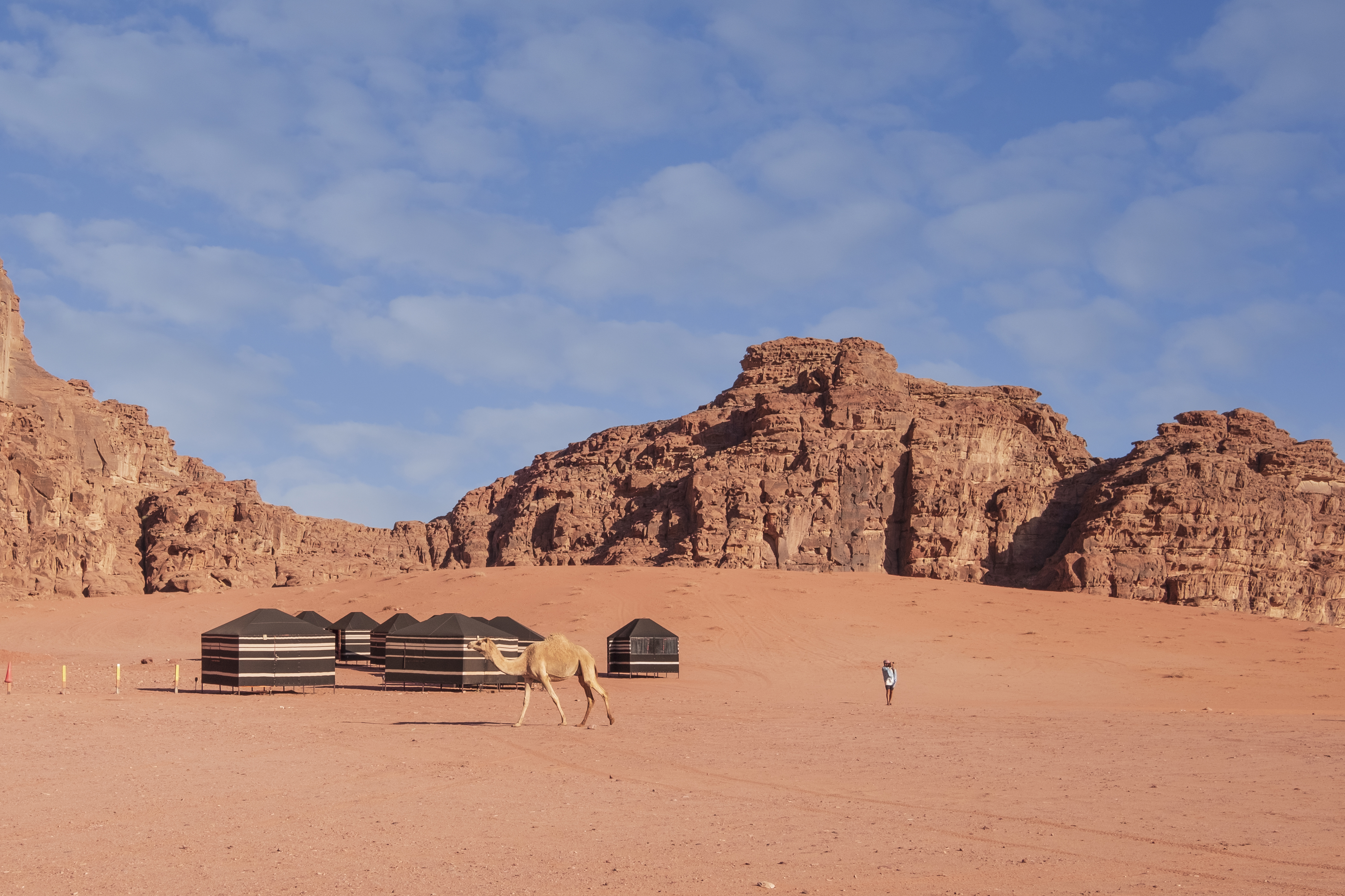 Camello y turista en un campamento de Wadi Rum