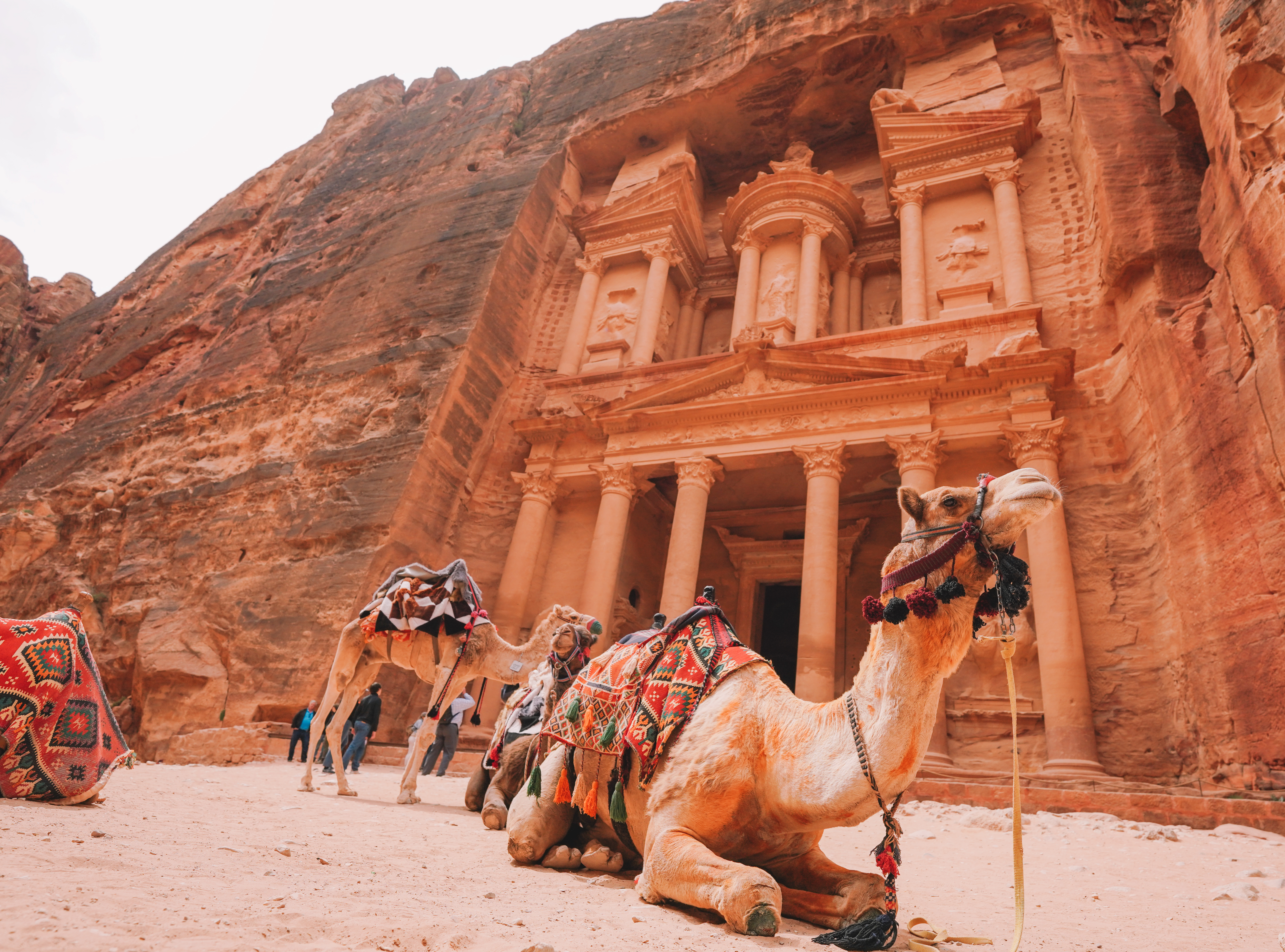 camellos frente al edificio de Petra