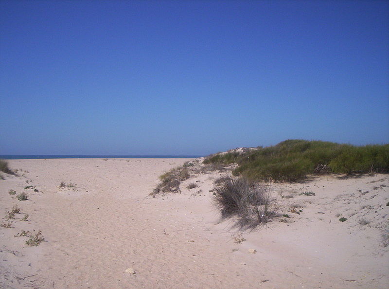 Sancti Petri