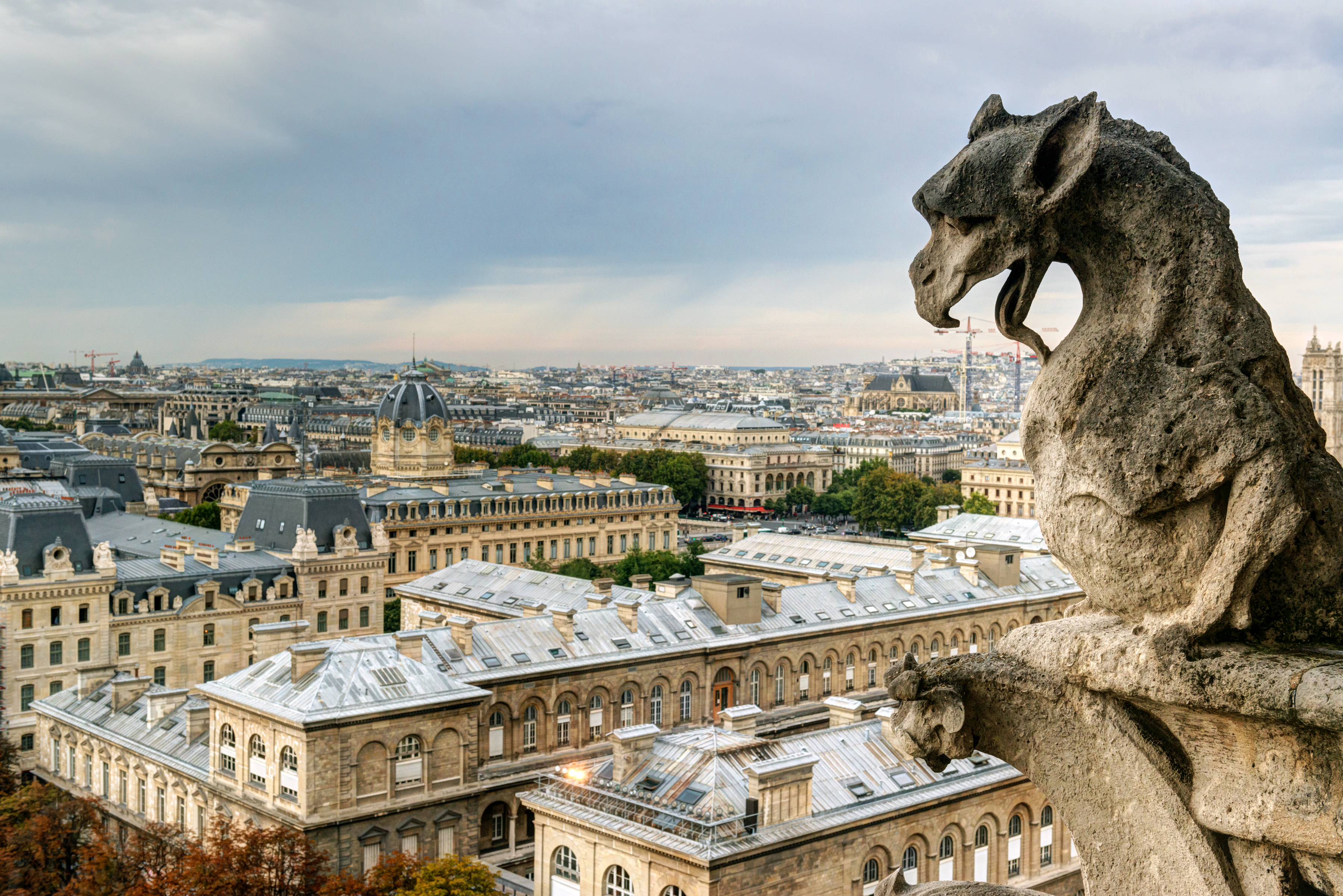 Vista de la azotea de París desde la Catedral de Notre-Dame
