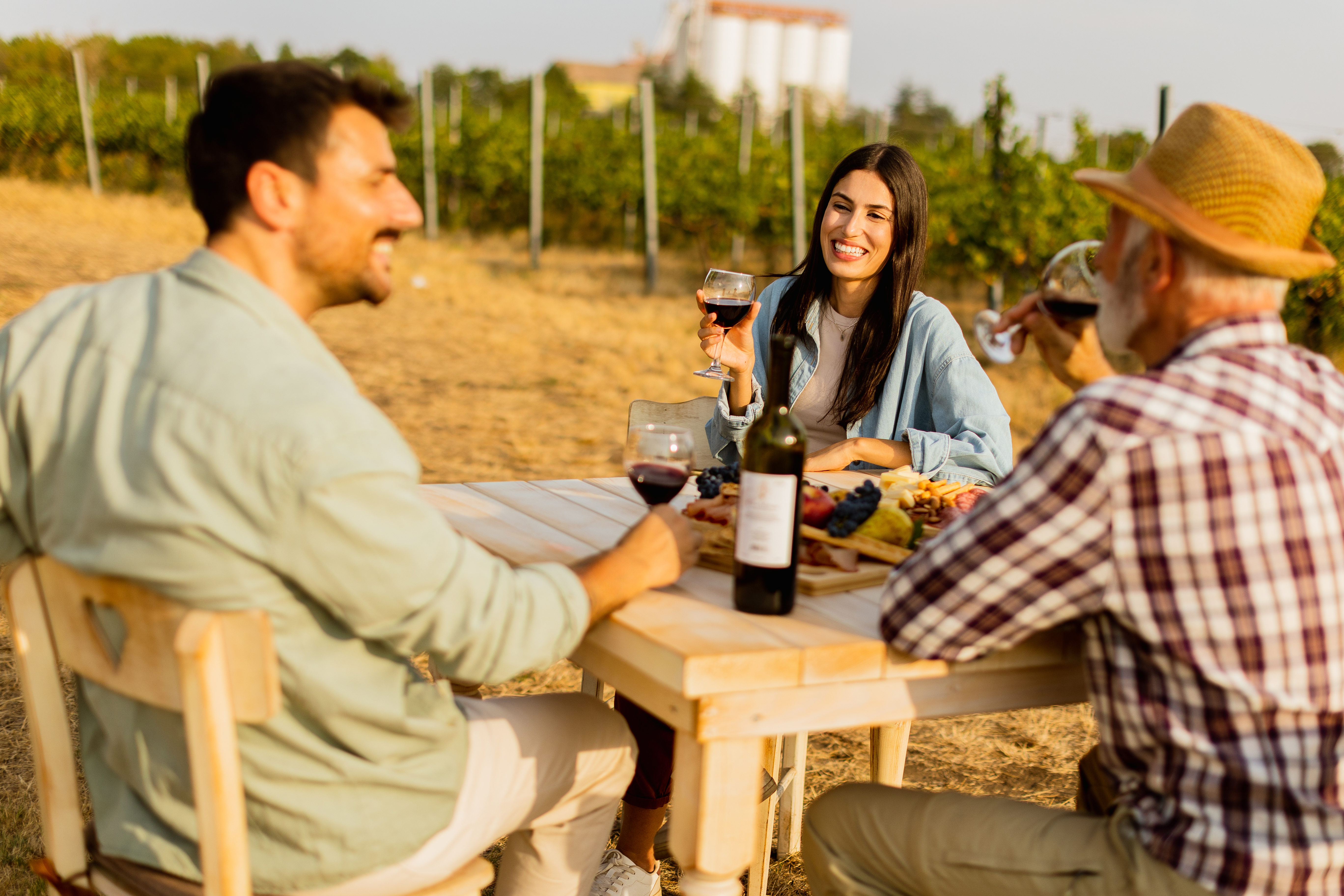 Valpolicella entre viñedos, visitando una bodega tradicional para catar sus mejores tintos, incluido el célebre Amarone.