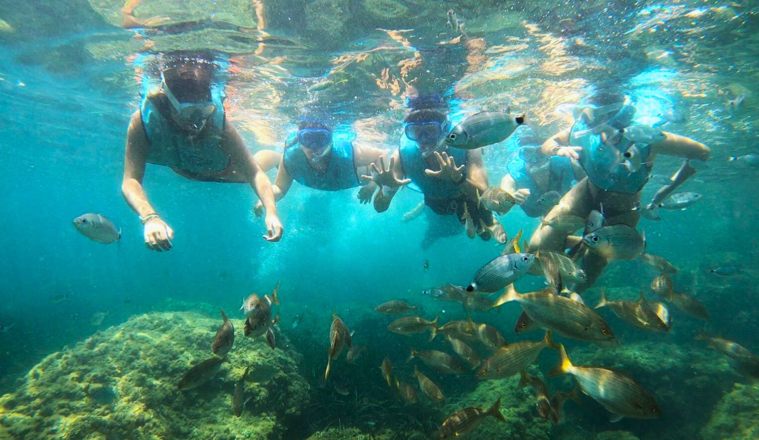 Haciendo snorkel en la isla de tabarca