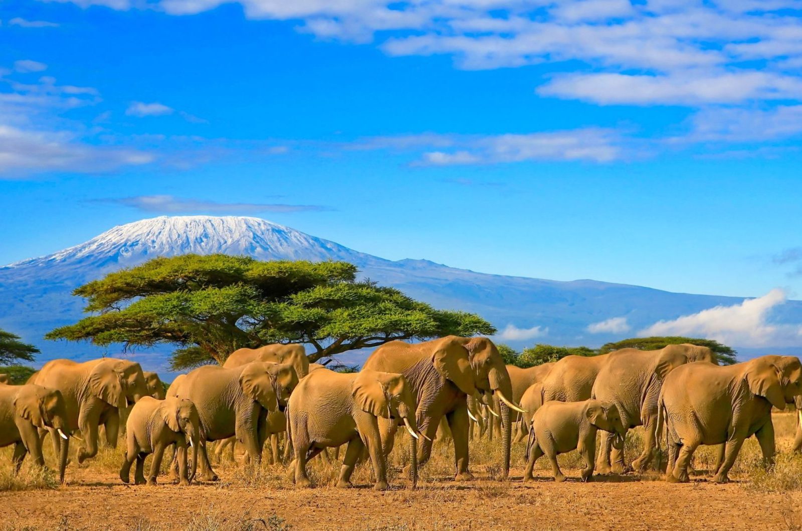 Tanzania