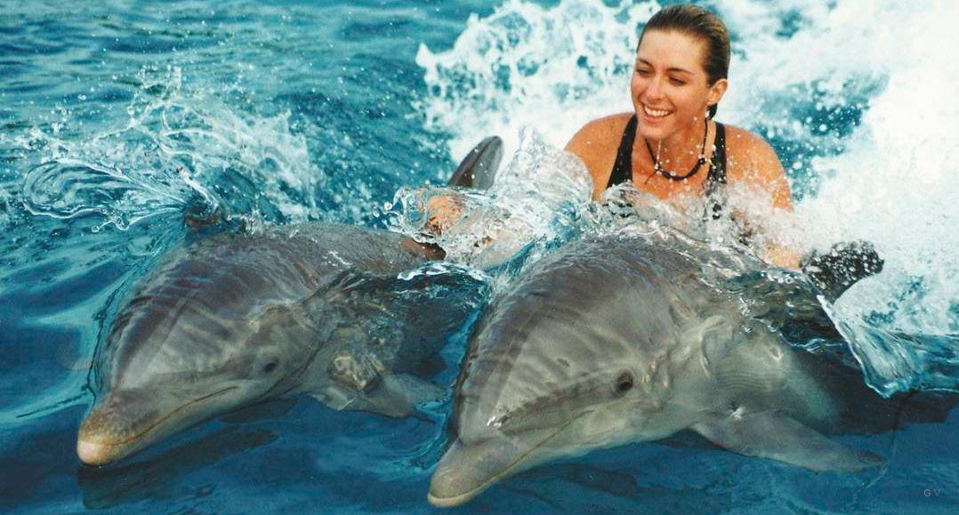 Delfines