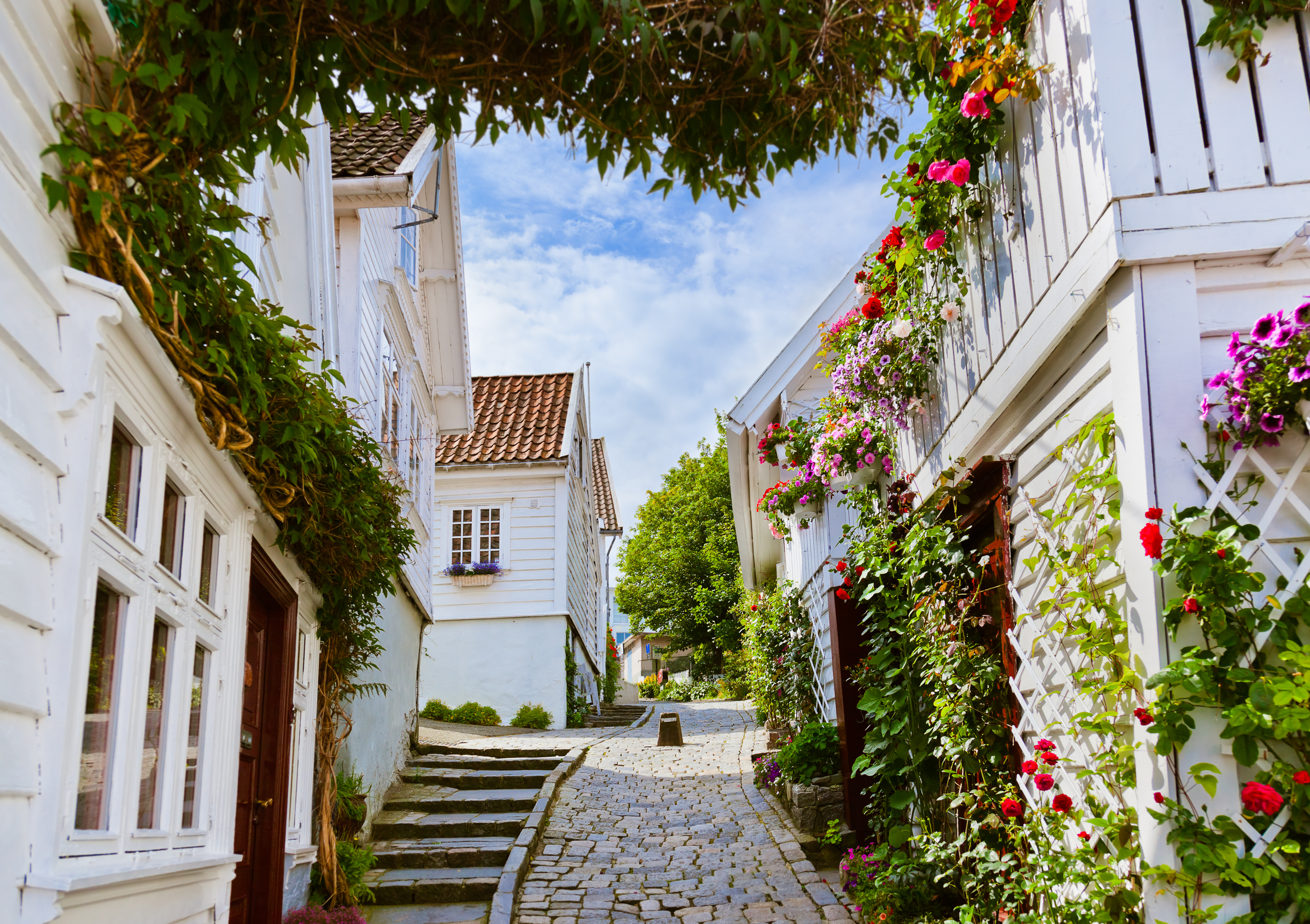 Calle empedrada con casas de madera blanca y tejados rojos rodeados de flores