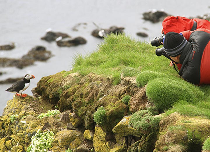 Islandia