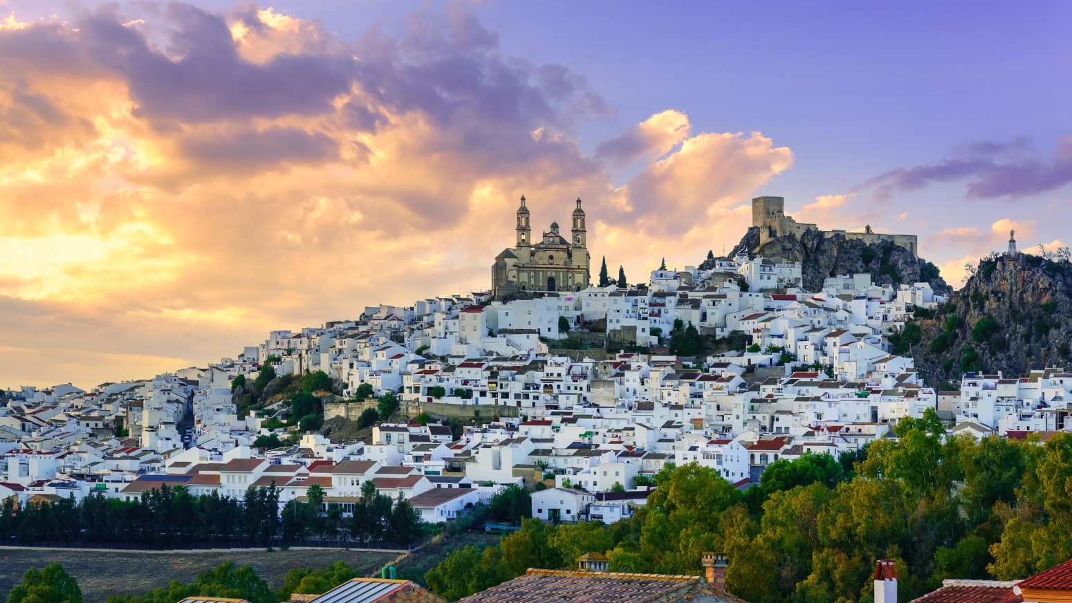 Olvera
