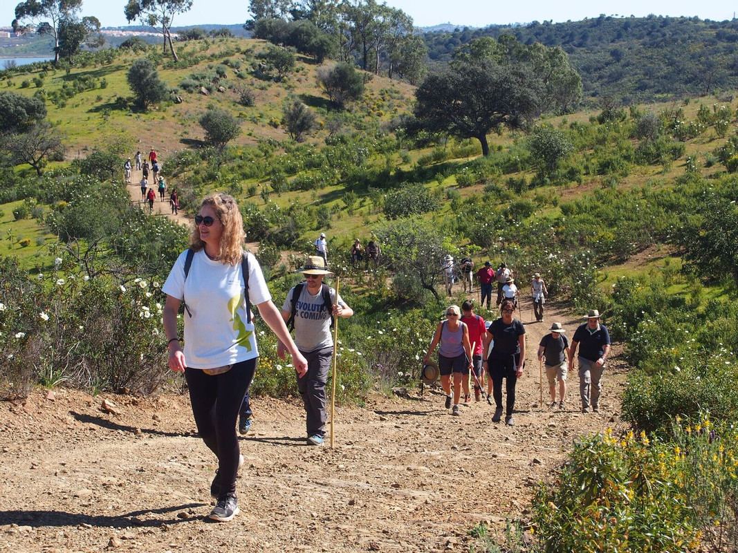 Grupo de senderismo en fila por un camino de montaña