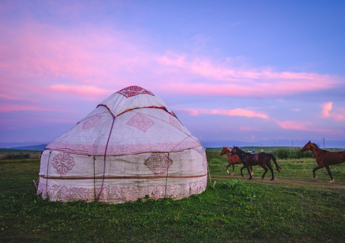 Casa popular de lona en una pradera verde con caballos
