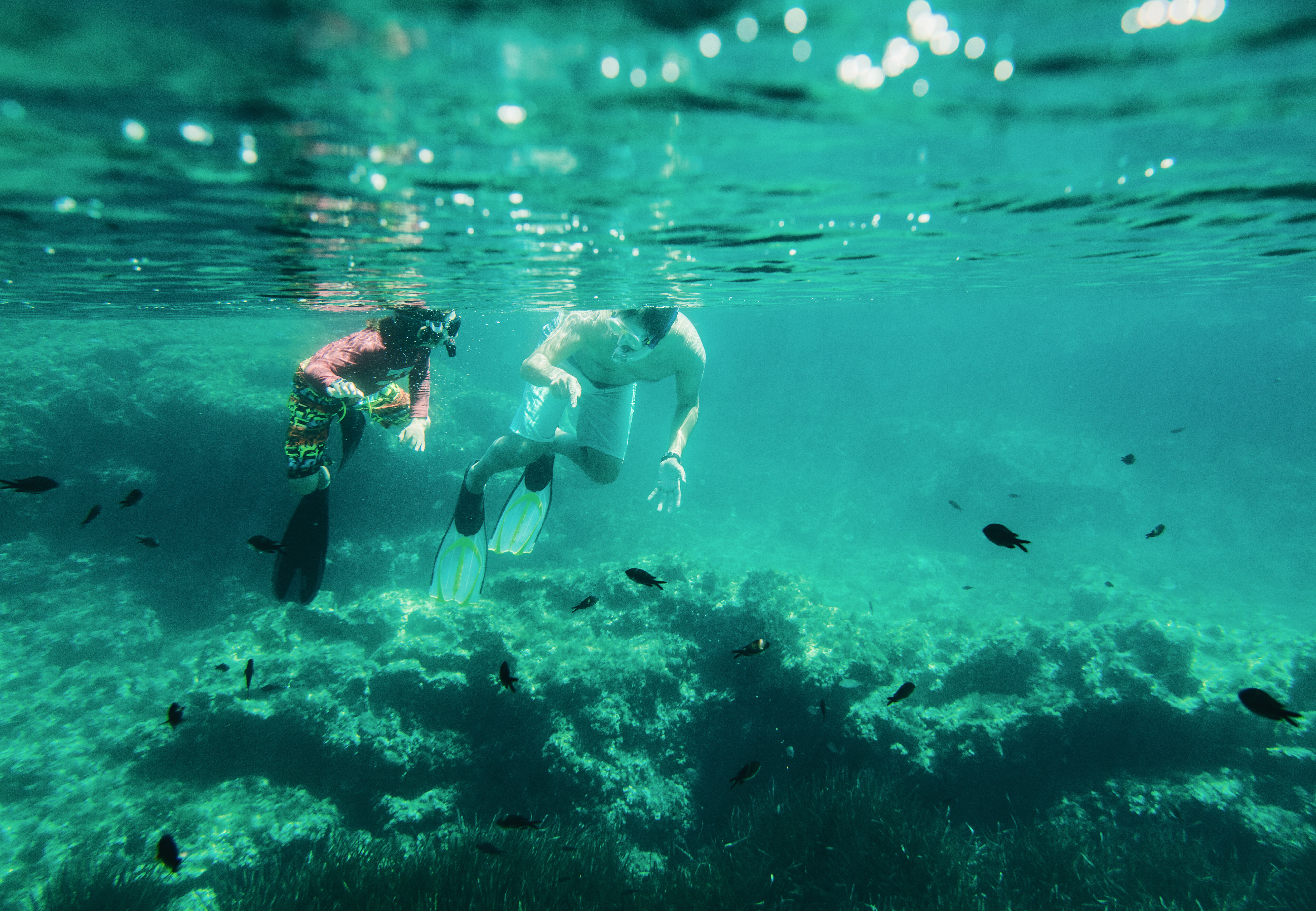 snorkel en sharm el sheikh