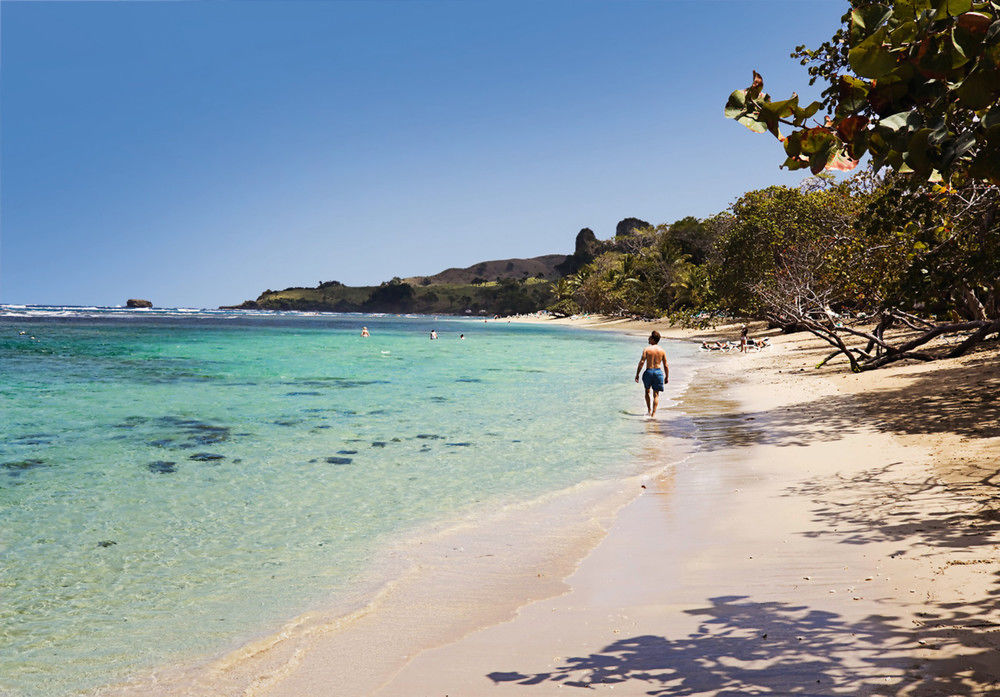 Punta Plata