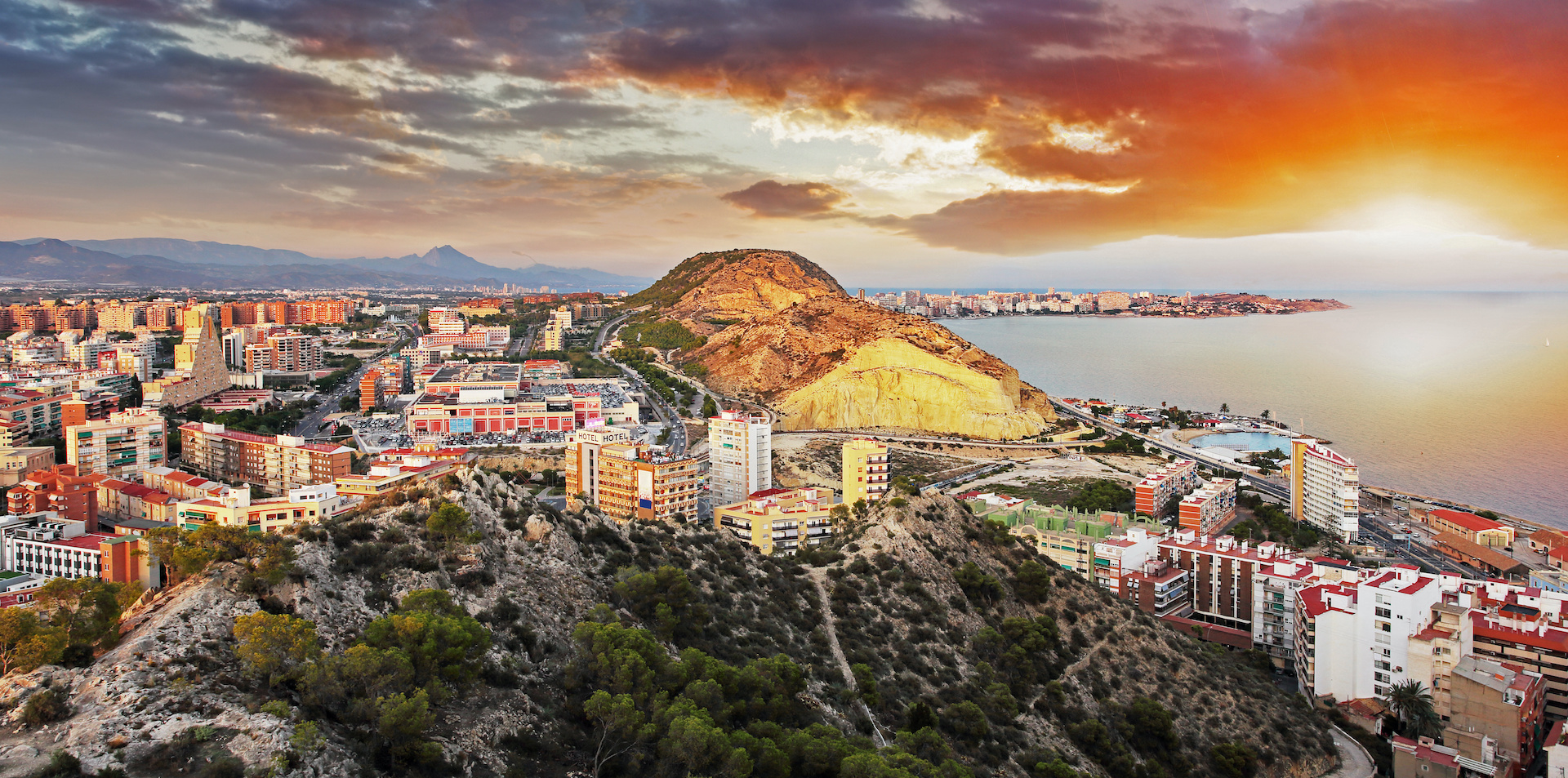monoparentales Alicante
