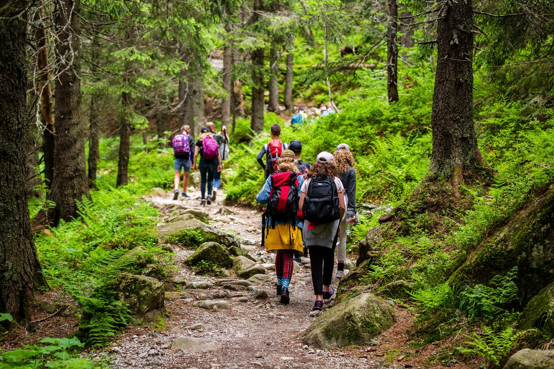 Grupo de senderistas de espaldas por un camino rodeado de árboles