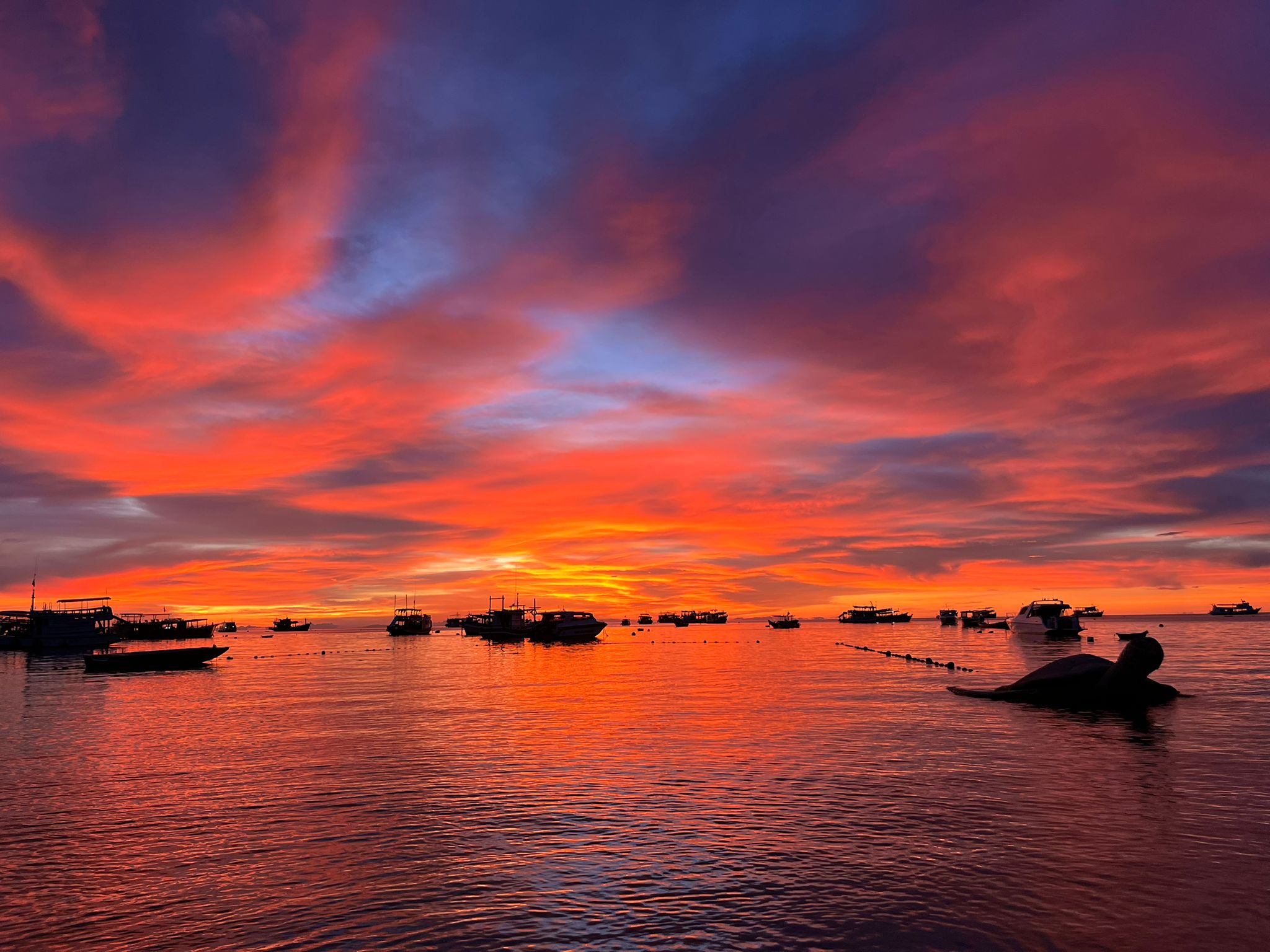 Atardecer espectacular en la Bahía de Phang Nga, Tailandia, con siluetas de barcos longtail flotando en aguas reflectantes de naranja y rosa intenso.