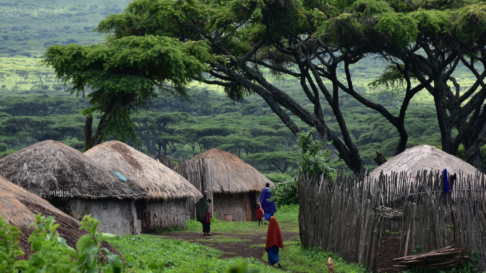 Tanzania